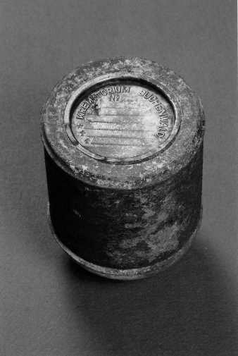 Black-and-white photgraph of an ash capsule