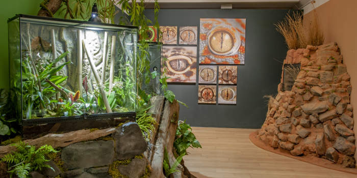 Freier Eintritt am 7. August in den städtischen Museen und Galerien