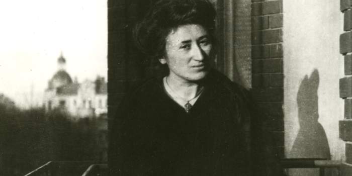 Interner Verweis: "Republik, das ist nicht viel…"? Rosa Luxemburg, die Novemberrevolution und die Weimarer Linke