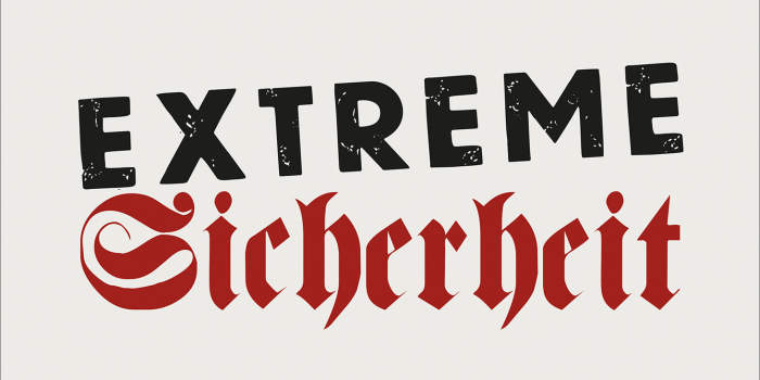 Extreme Sicherheit: Rechtsradikale in Polizei, Verfassungsschutz, Bundeswehr und Justiz