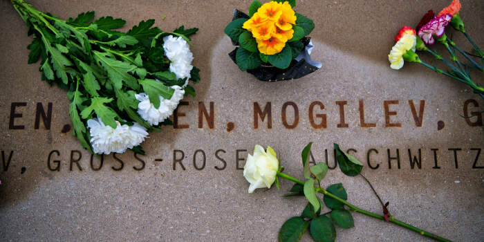 Gedenken an die Befreiung des Vernichtungslagers Auschwitz vor 80 Jahren