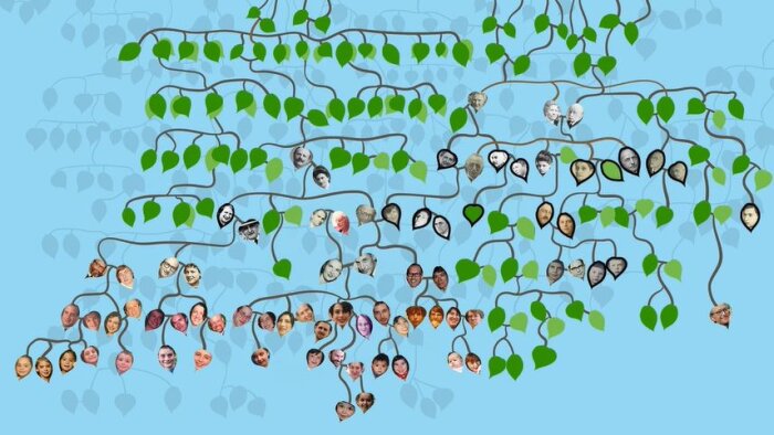 Der animierte Stammbaum im Kurzfilm 