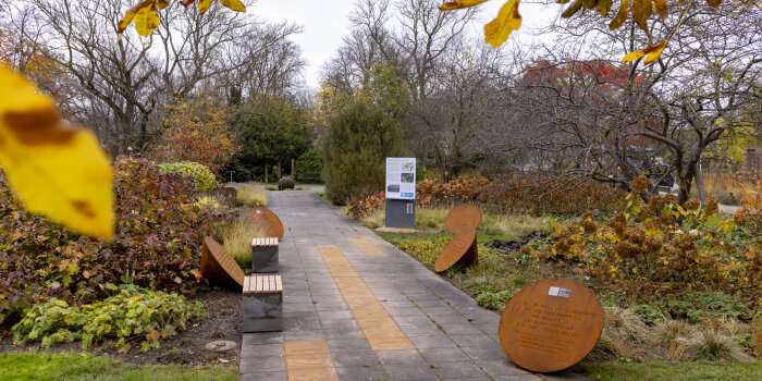 Grünanlage mit Metallinstalationen 