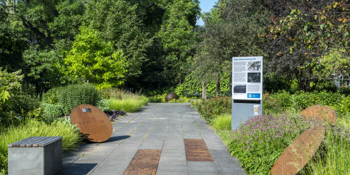 : Lange Nacht der Museen am Denkort Bücherverbrennung 1933 