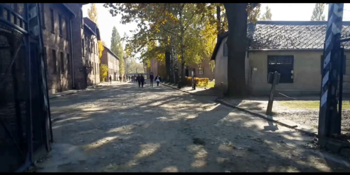 Internal Link:  Web dialogue: Response of Karl, Michał, Anastasia