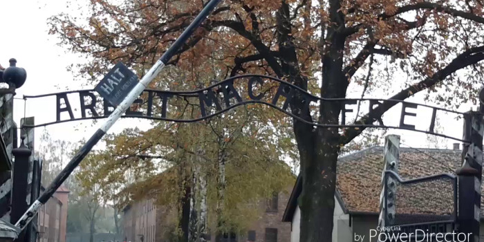 Internal Link: Web dialogue: Response of Inga, Magda and Wiktoria