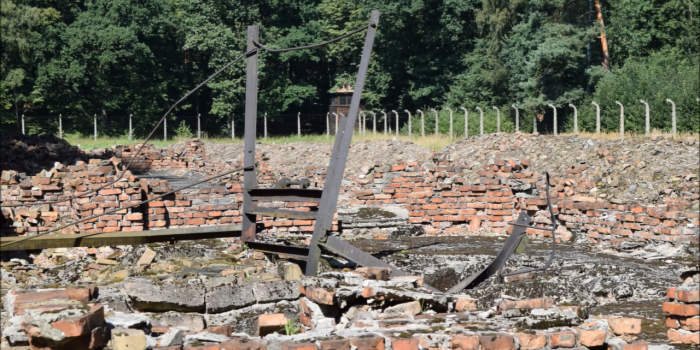 Internal Link: Web dialogue: Response of Clemens and Paul