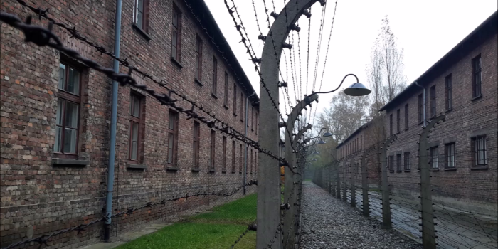 Internal Link: Web dialogue: Response of Alla, Amelie, Anna, Nikita, Luisa and Yulia